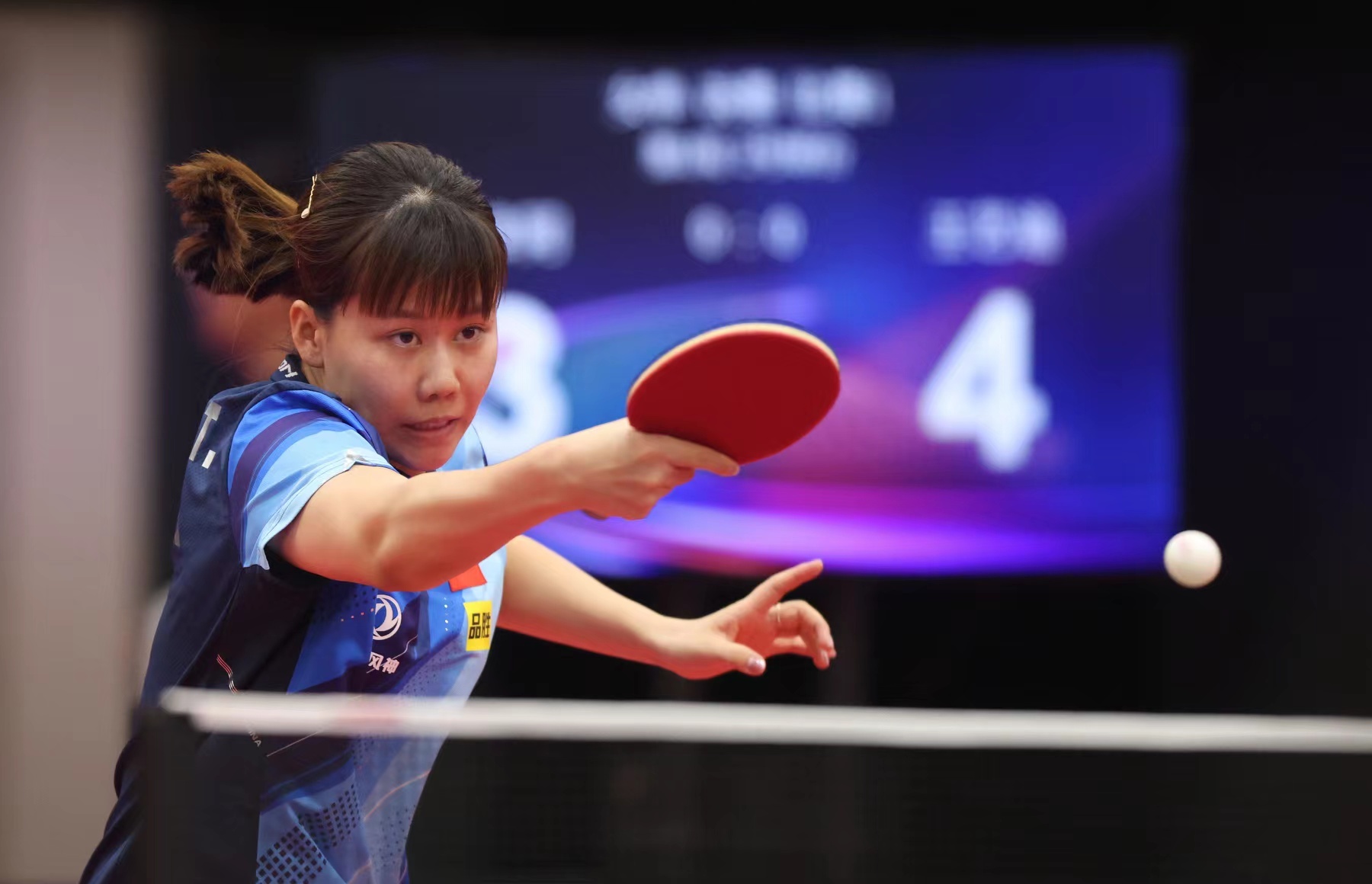 他极有可能 他极有可能