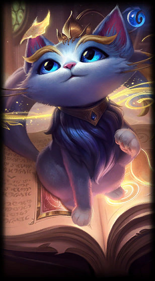 的比赛经验 的比赛经验